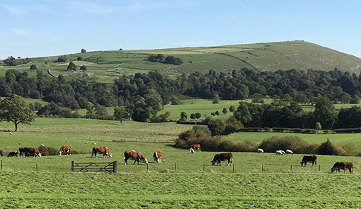 content-image-lower-hurst-farm